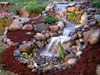 Water Gardens