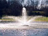 Water Gardens
