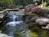 Water Gardens