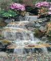 Water Gardens