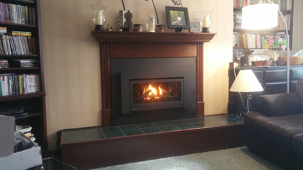 Gas Stoves, Inserts and Fireplaces Painesville, Austinburg
