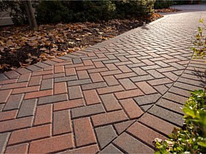 Holland Paver